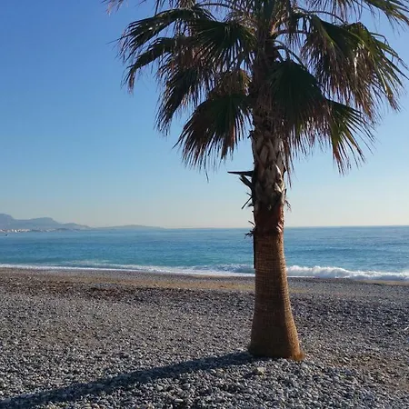 Cap Azur Maison N° 26 *
